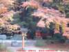 dscf0316_small.jpg
