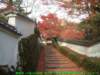 dscf0318_small.jpg