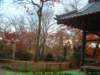 dscf0323_small.jpg