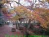 dscf0324_small.jpg