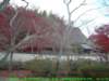dscf0325_small.jpg