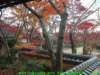 dscf0326_small.jpg