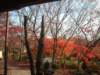 dscf0327_small.jpg