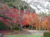dscf0328_small.jpg
