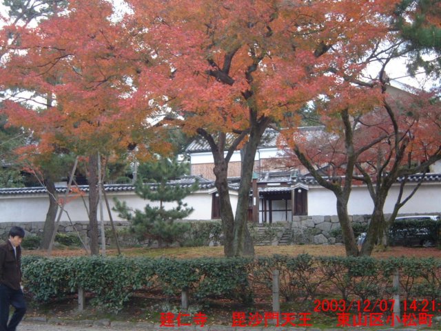 dscf0357.jpg