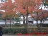 dscf0357_small.jpg