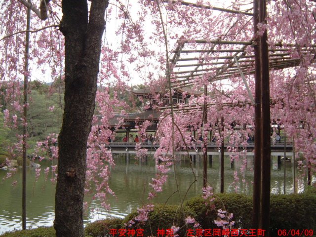 dscf0037.jpg