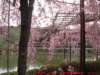 dscf0037_small.jpg