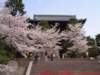 dscf0039_small.jpg