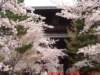 dscf0040_small.jpg