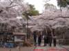 dscf0044_small.jpg