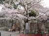 dscf0047_small.jpg