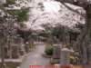 dscf0049_small.jpg