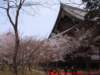 dscf0050_small.jpg