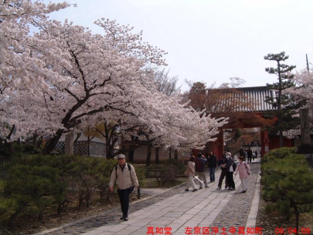 dscf0058.jpg