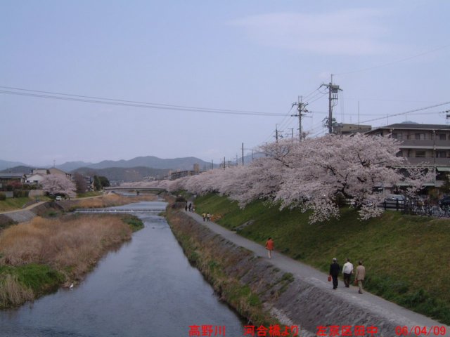 dscf0068.jpg