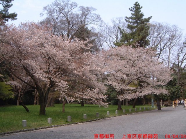 dscf0072.jpg