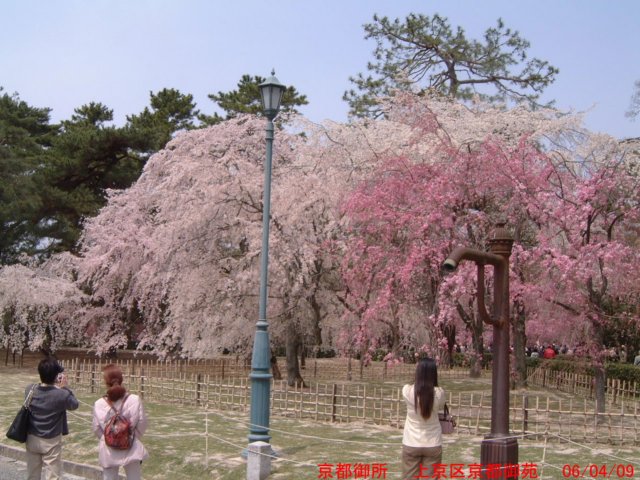 dscf0075.jpg