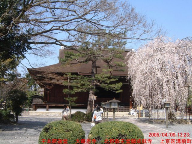 dscf0213.jpg