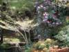 dscf0267_small.jpg