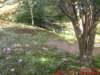 dscf0296_small.jpg