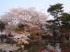 dscf0348_small.jpg
