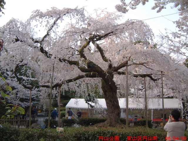 dscf0354.jpg
