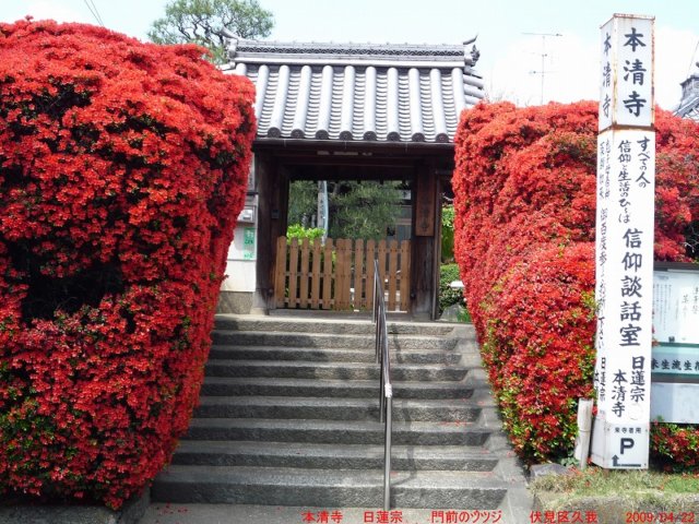 p1000497.jpg