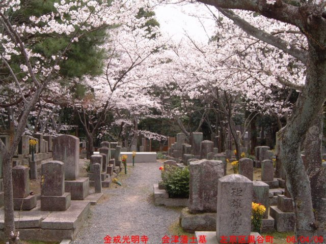 dscf0049.jpg