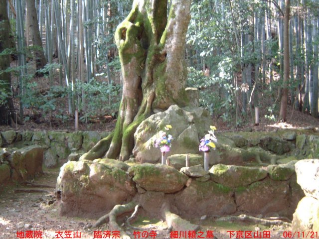 dscf0071.jpg
