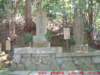 dscf03442_small.jpg