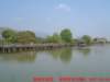 dscf0002_small.jpg