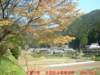 dscf00683_small.jpg