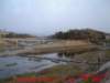 dscf0082_small.jpg