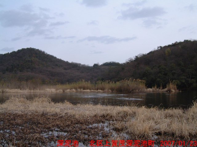 dscf0087.jpg