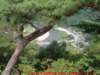 dscf0088_small.jpg