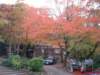 dscf0176_small.jpg