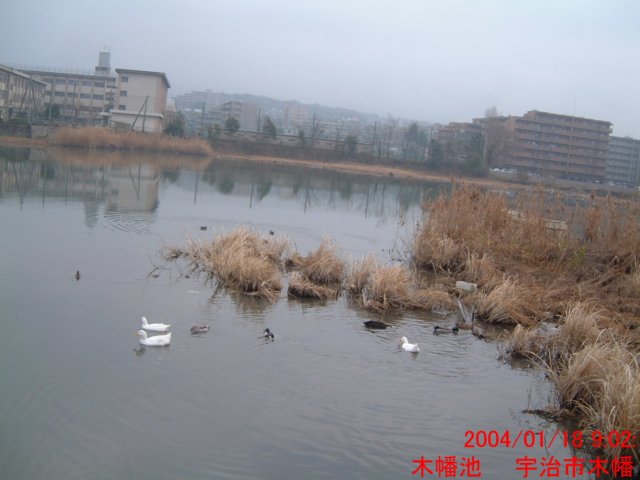 dscf0181.jpg