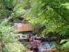 dscf0201_small.jpg