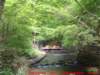 dscf0206_small.jpg