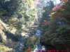 dscf02432_small.jpg