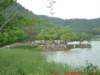 dscf0312_small.jpg