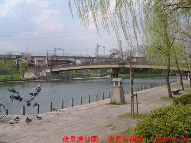 dscf0317.jpg