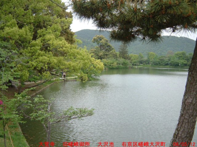 dscf0338.jpg