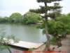 dscf0339_small.jpg