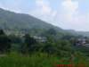 dscf0345_small.jpg