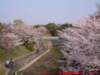 dscf0387_small.jpg