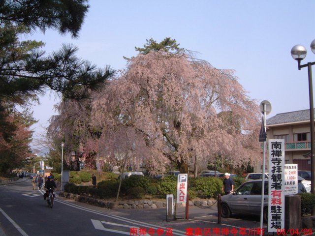 dscf0389.jpg