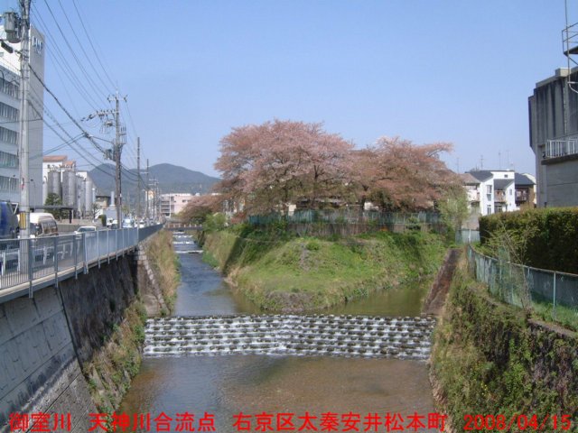 dscf0396.jpg