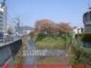dscf0396_small.jpg